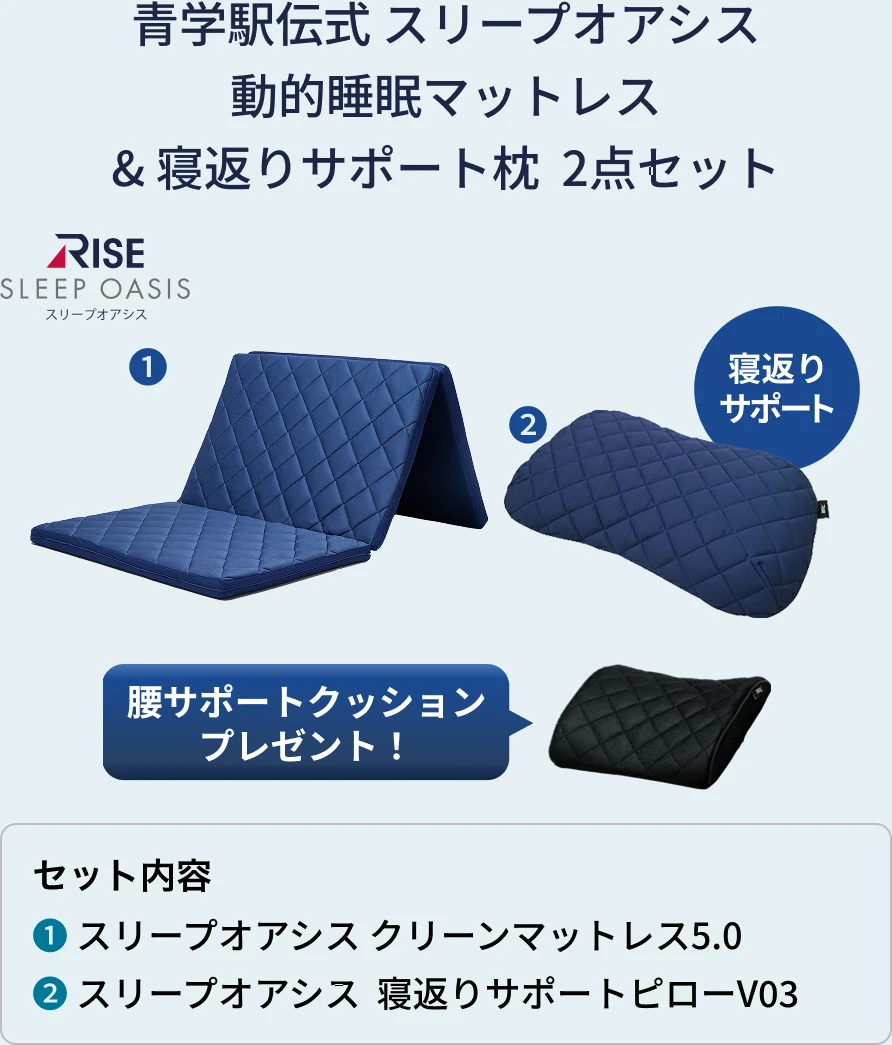 青学駅伝式 スリープオアシス動的睡眠マットレス&寝返りサポート枕 2点セット