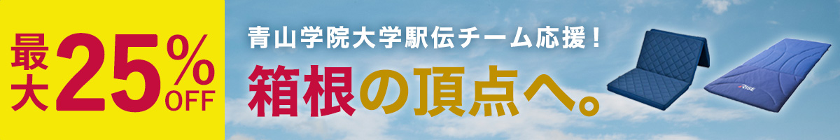 箱根の頂点へ。青山学院大学駅伝チームを応援！最大25%OFF！1/20(月)まで