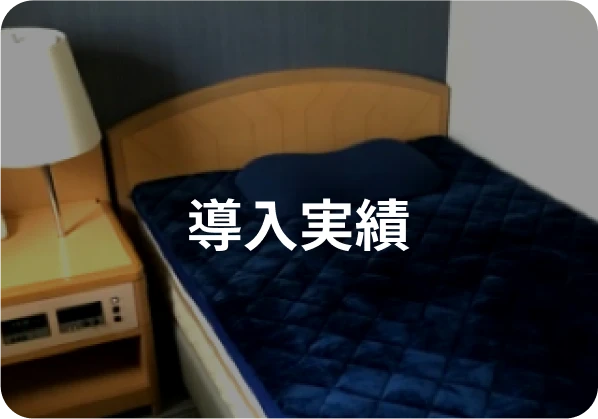 導入実績
