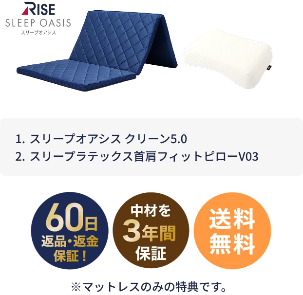 寝るトレベーシック ラテックス枕セット