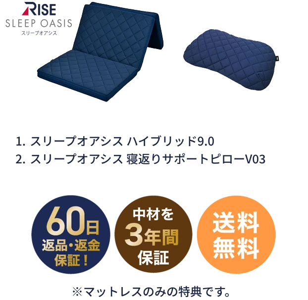 寝るトレベーシック ラテックス枕セット