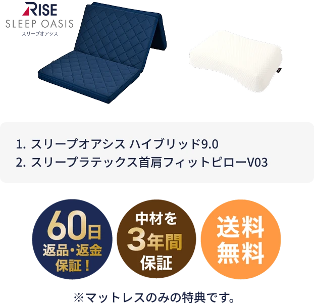 寝るトレベーシック ラテックス枕セット