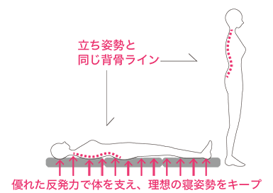 優れた反発力で体を支え、理想の寝姿勢をキープ